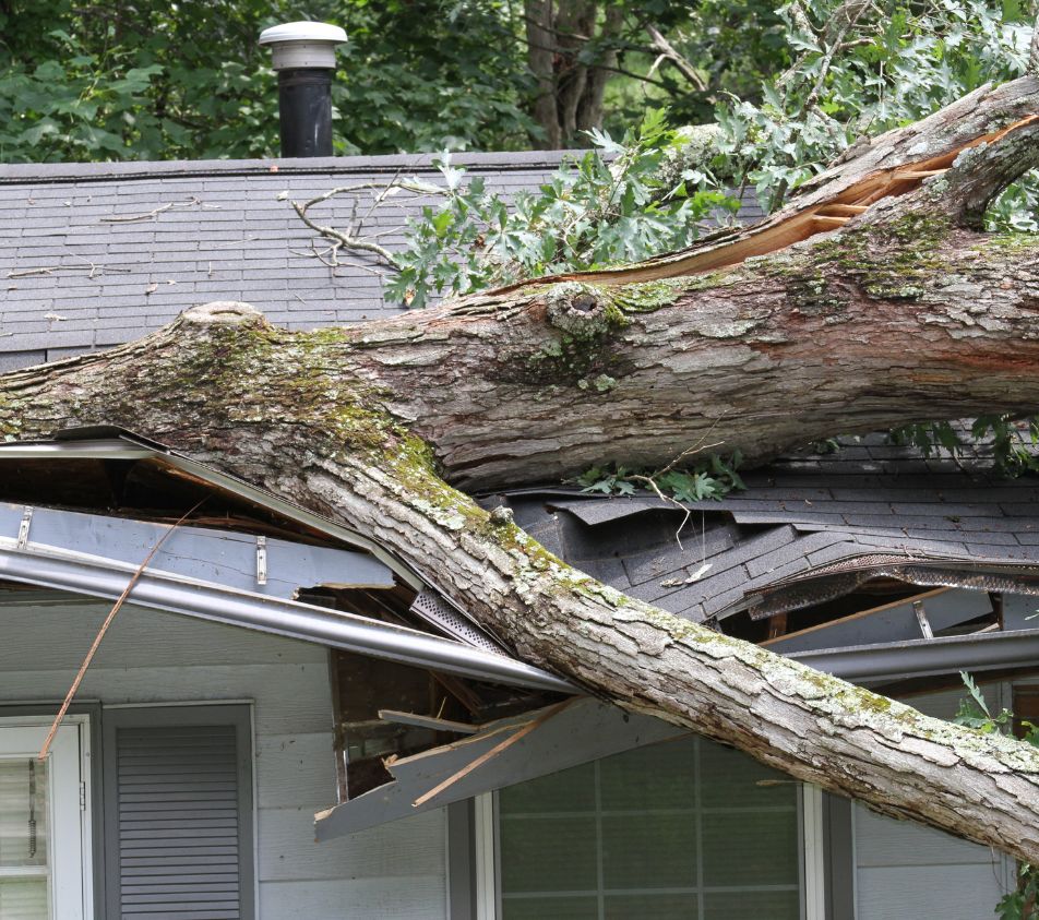 Residential Property Claims